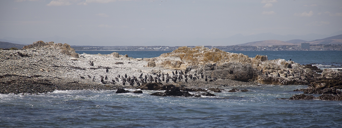 photo Robben Island