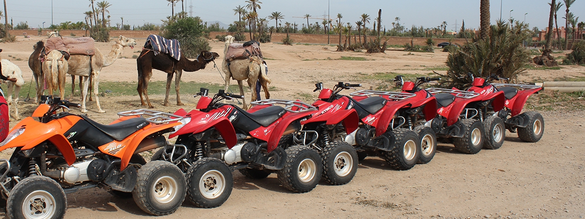 photo Secret Garden Excursions quad et dromadaire
